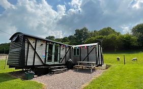 Hoarthorns Hideaway Forest Of Dean